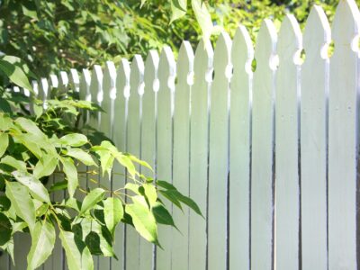 white-picket-fence-in-the-garden-2022-11-15-16-49-08-utc